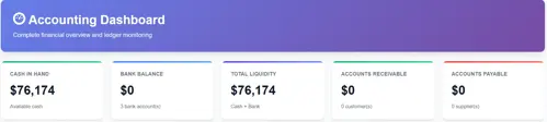 Biznsbook accounting dashboard detail view with financial charts and summaries